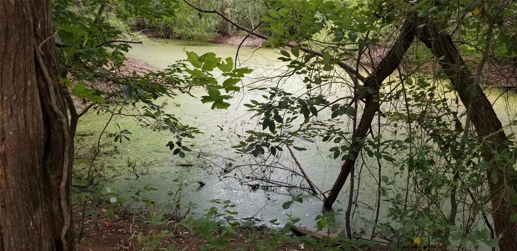 Tbd Tbd Fm-2194 Celeste, TX 75423 - Photo 4 of 9 Picture of pond from July 2020.