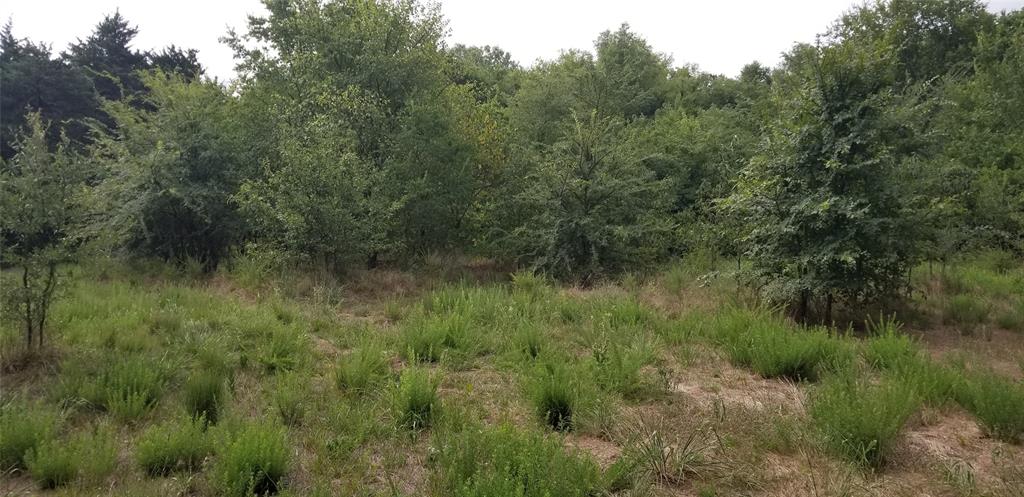 Tbd Tbd Fm-2194 Celeste, TX 75423 - Photo 7 of 9 Partial clearing in North part of the lot, north of the pond.