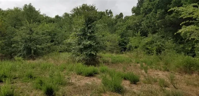 $125,000 | Tbd Tbd Fm-2194, Celeste, TX 75423