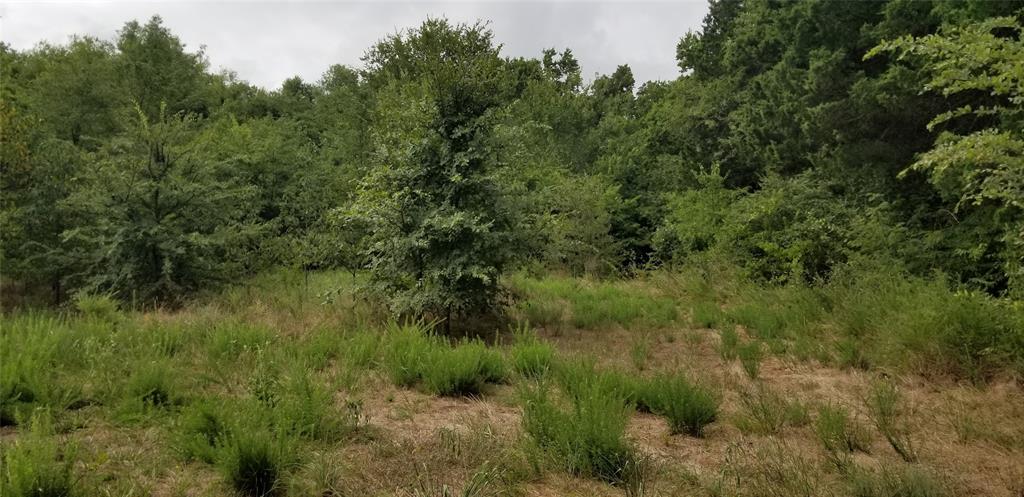 Tbd Tbd Fm-2194 Celeste, TX 75423 - Photo 8 of 9 Additional view of partial clearing, north part of the lot.