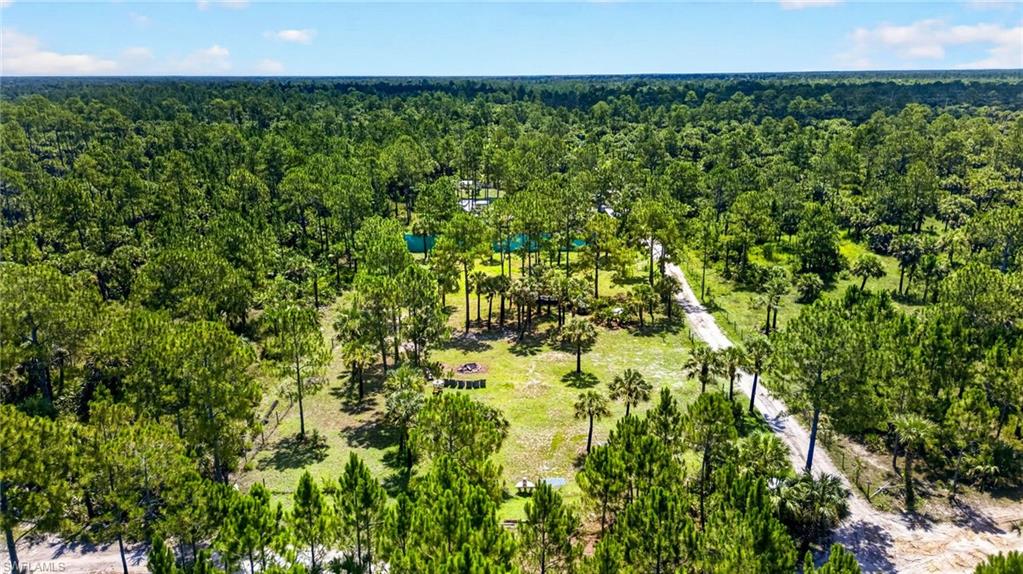 Naples Fl Naples Way Naples, FL 34117 - Photo 2 of 12 Expansive wooded parcel featuring mature trees, a cleared central area, and a visible pathway