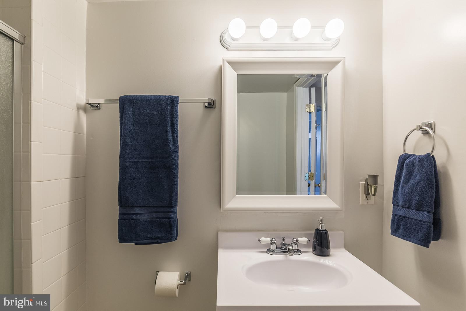 14299 Newbern Loop Gainesville, VA 20155 - Photo 17 of 42 Bath-lower level