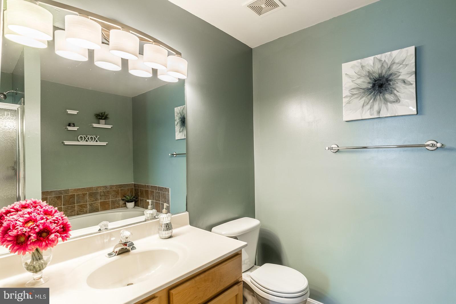 14299 Newbern Loop Gainesville, VA 20155 - Photo 22 of 42 Master Bath-