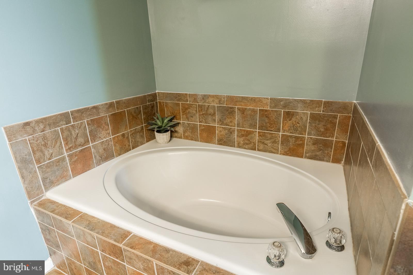 14299 Newbern Loop Gainesville, VA 20155 - Photo 23 of 42 Master Bath-soaking tub