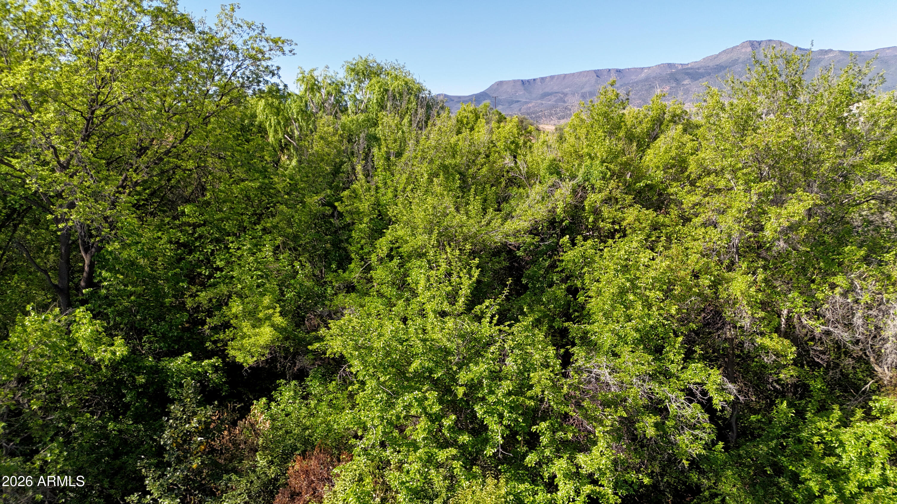 1165 North Willard Road Cottonwood, AZ 86326 - Photo 120 of 122 a view of a lush green forest with a mountain in the background
