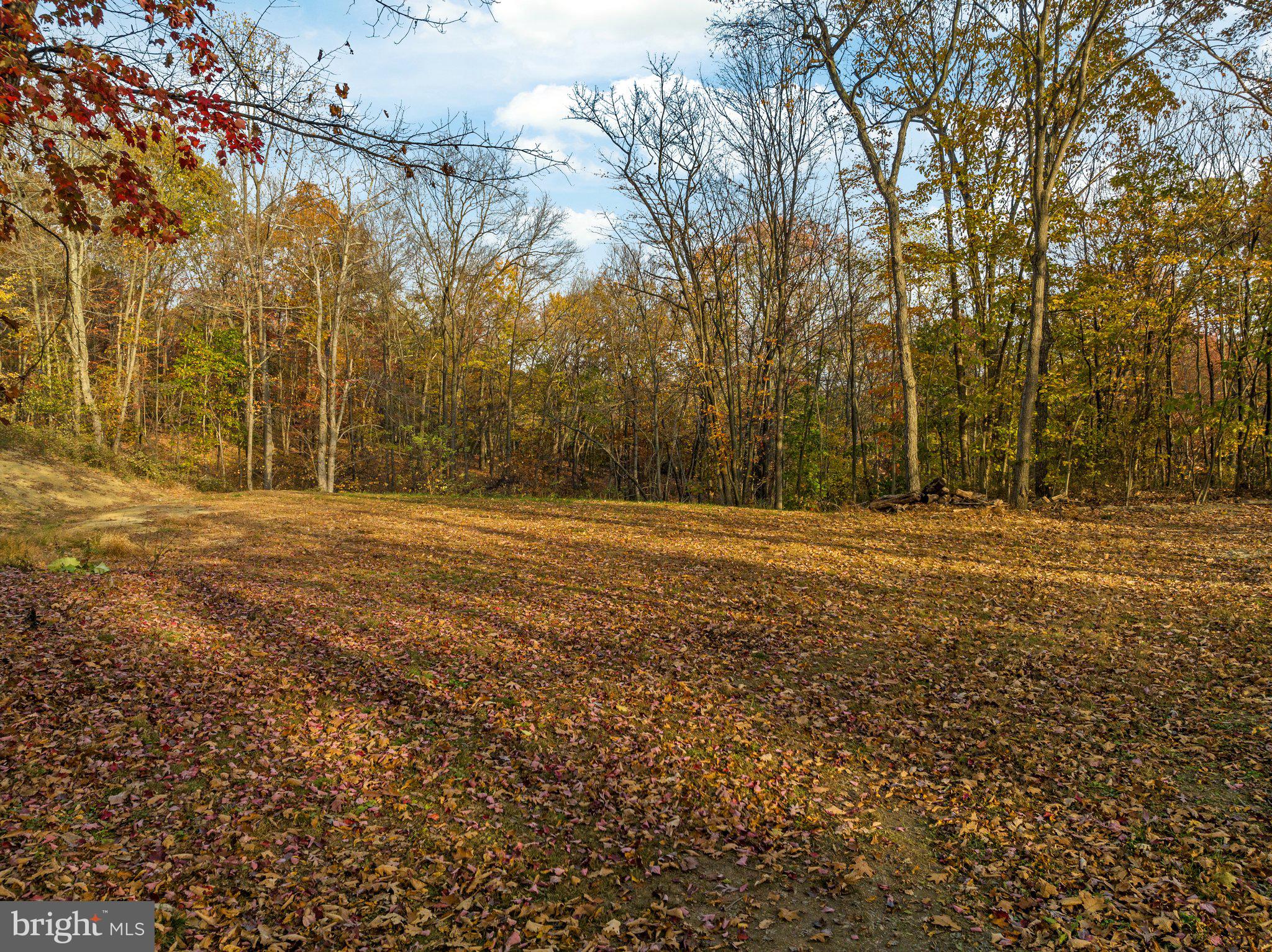 391 Brill Road Star Tannery, VA 22654 - Photo 47 of 54 Gallery Image 47