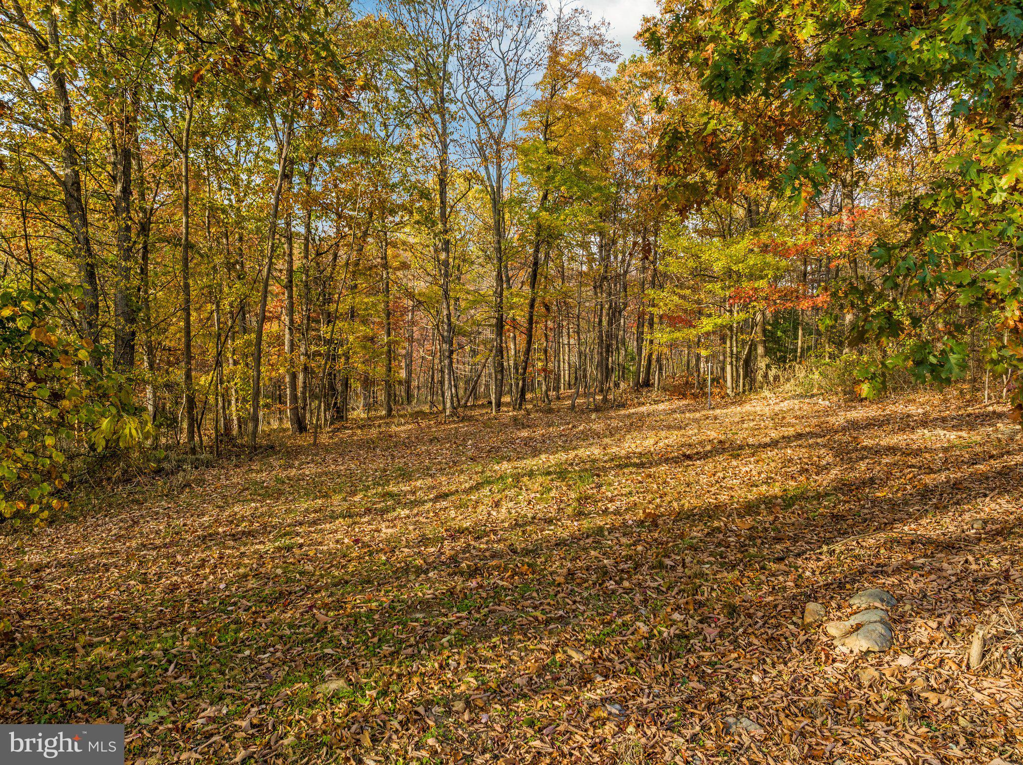 391 Brill Road Star Tannery, VA 22654 - Photo 54 of 54 Gallery Image 54
