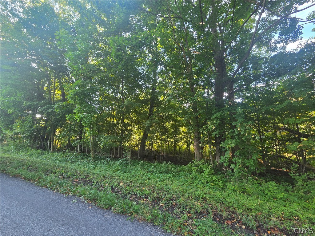 885 Kibby Road Lysander, NY 13027 - Photo 10 of 15 Gallery Image 10