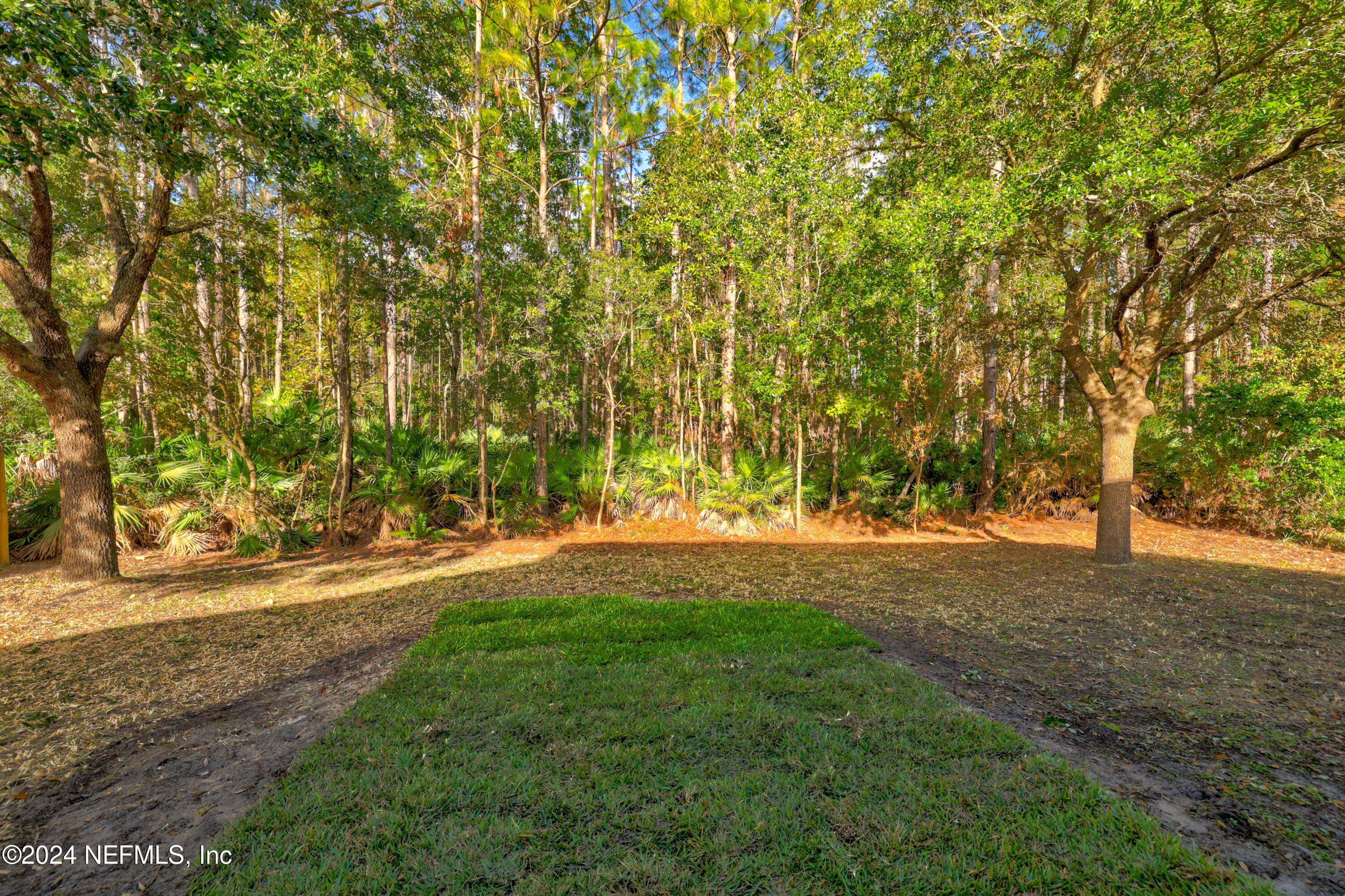14414 Millhopper Road Jacksonville, FL 32258 - Photo 31 of 48 Preserve Views!