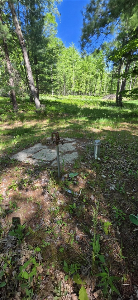 4869 East Free Soil Road Free Soil, MI 49411 - Photo 10 of 39