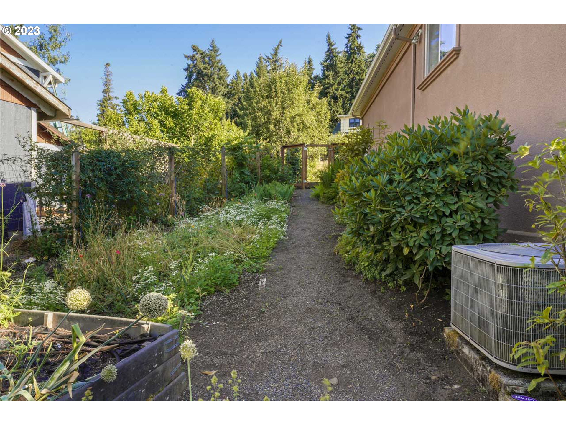 2920 Adams Street Eugene, OR 97405 - Photo 29 of 38 a backyard of a house with lots of green space