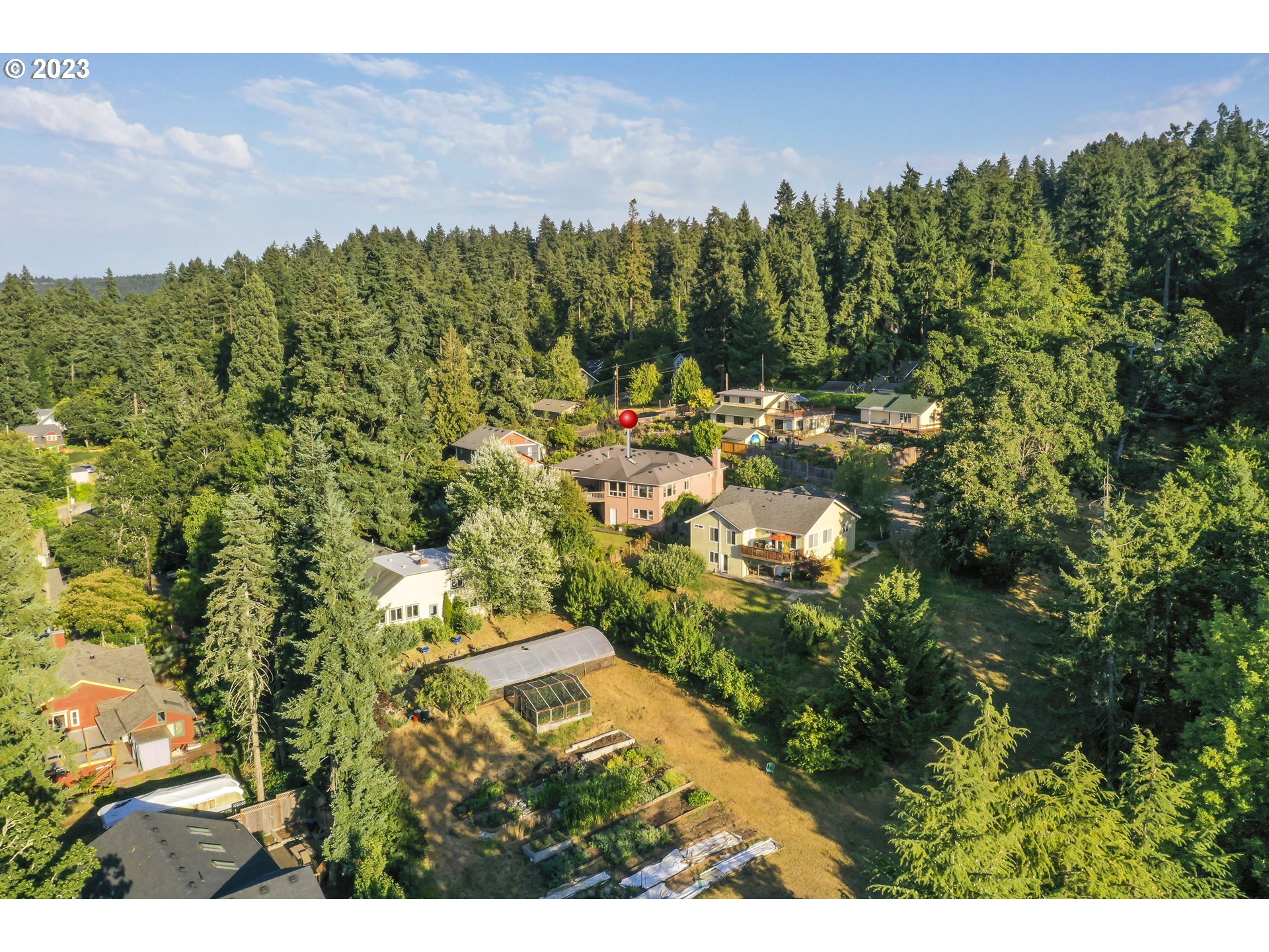2920 Adams Street Eugene, OR 97405 - Photo 35 of 38 a view of a bunch of trees