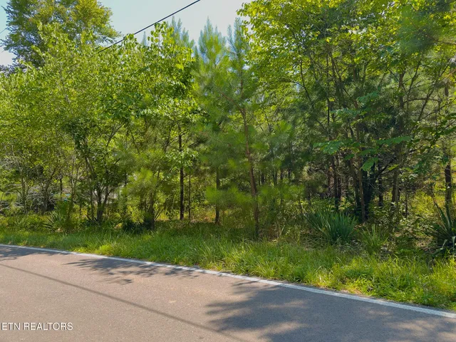 $40,000 | Lillydale Road, Byrdstown, TN 38549