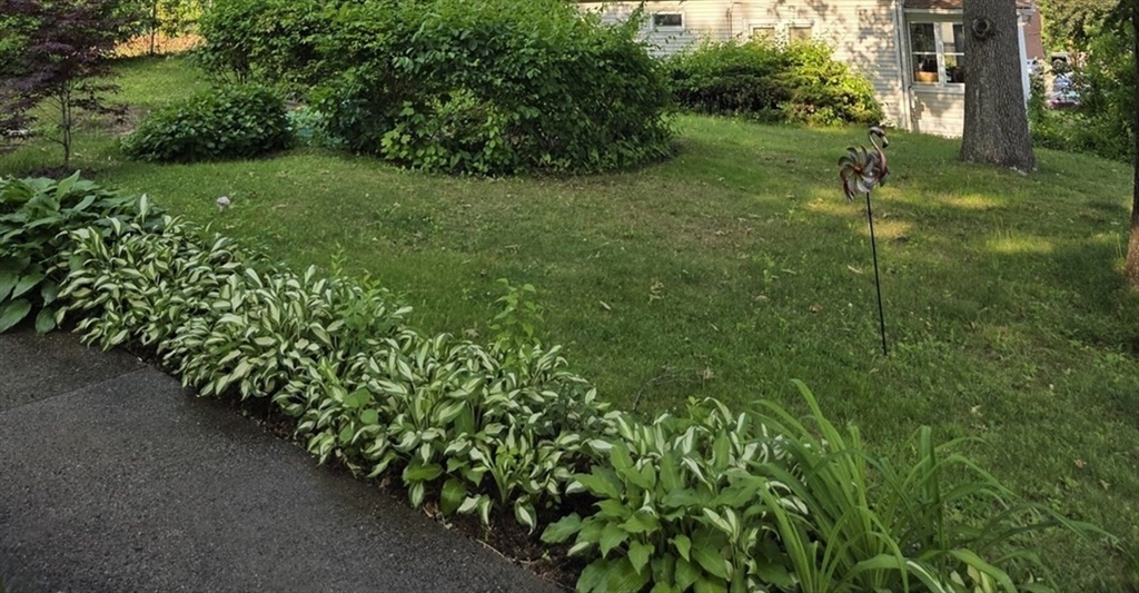 28 Hartley Street Springfield, MA 01104 - Photo 3 of 15 Gallery Image 3