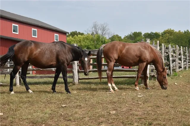 $1,450,000 | 14001 Prospect Avenue, Grandview, MO 64030