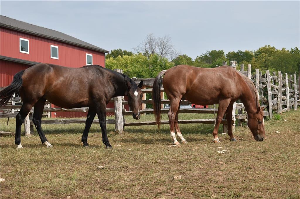 14001 Prospect Avenue Grandview, MO 64030 - Photo 45 of 53