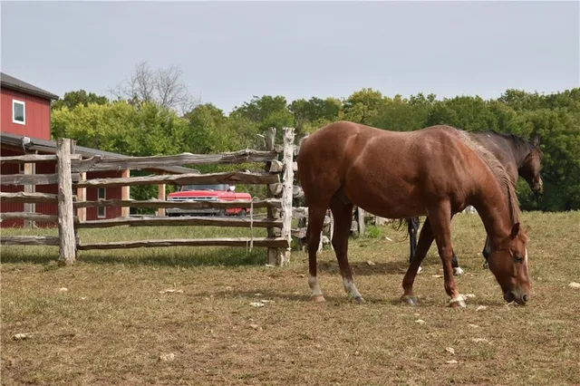 $1,450,000 | 14001 Prospect Avenue, Grandview, MO 64030