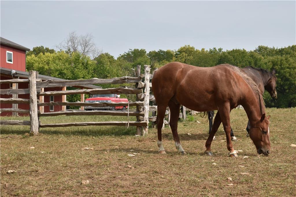 14001 Prospect Avenue Grandview, MO 64030 - Photo 46 of 53