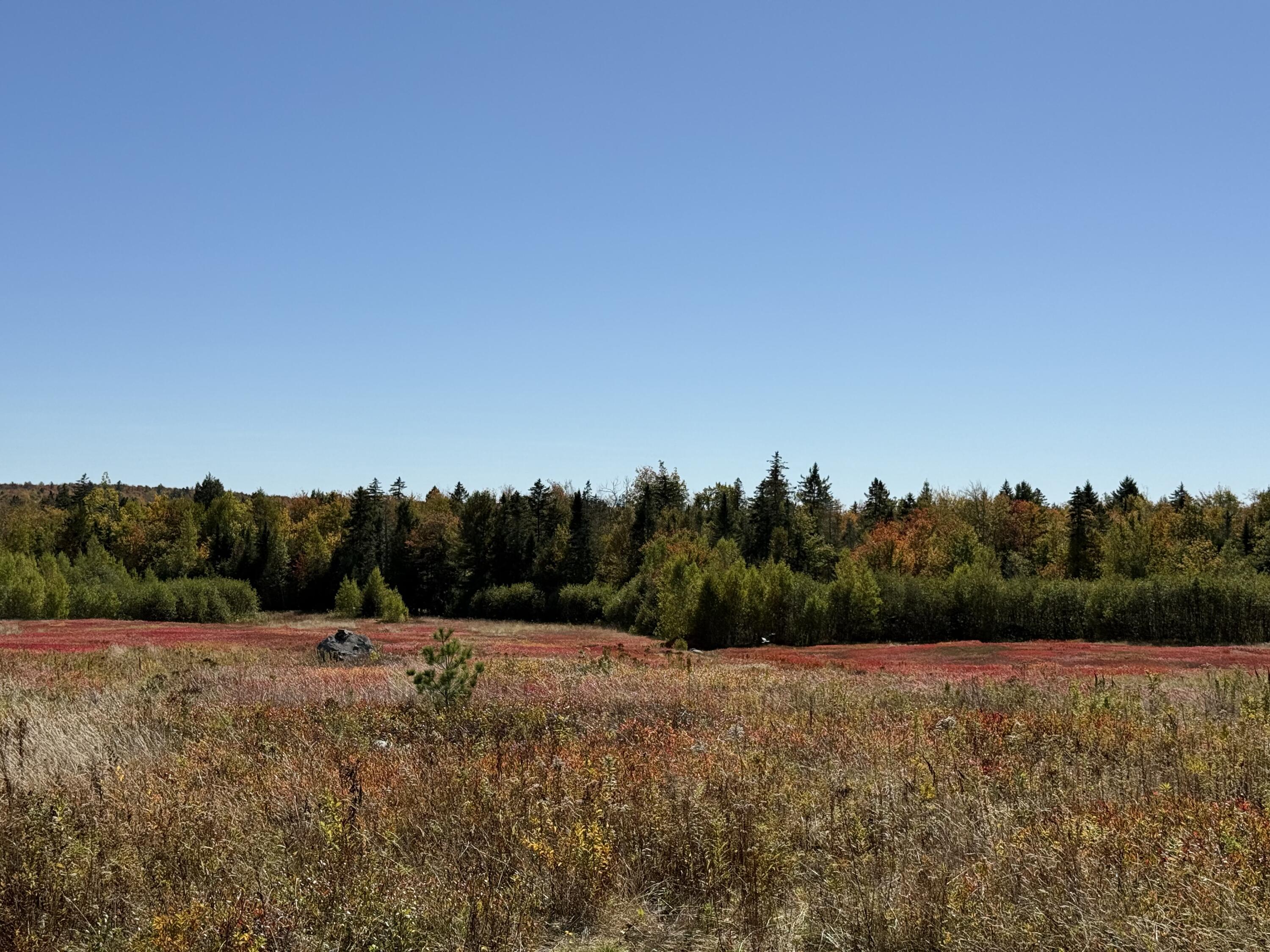 Map19-lot28 Leach Road Penobscot, ME 04476 - Photo 18 of 21 MAP 19 LOT 28