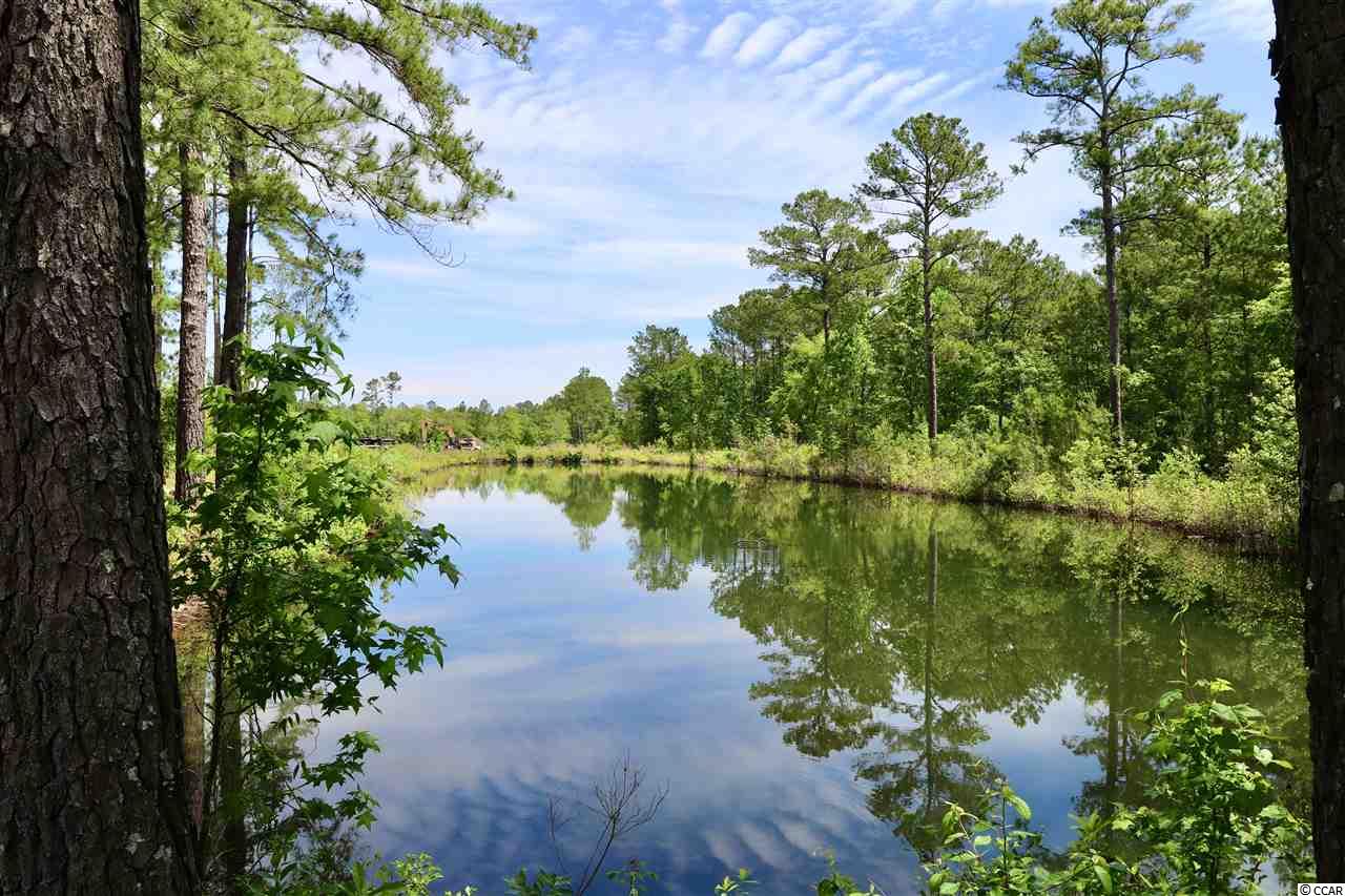 2273 B B Watson Road Conway, SC 29526 - Photo 18 of 39 Gallery Image 18