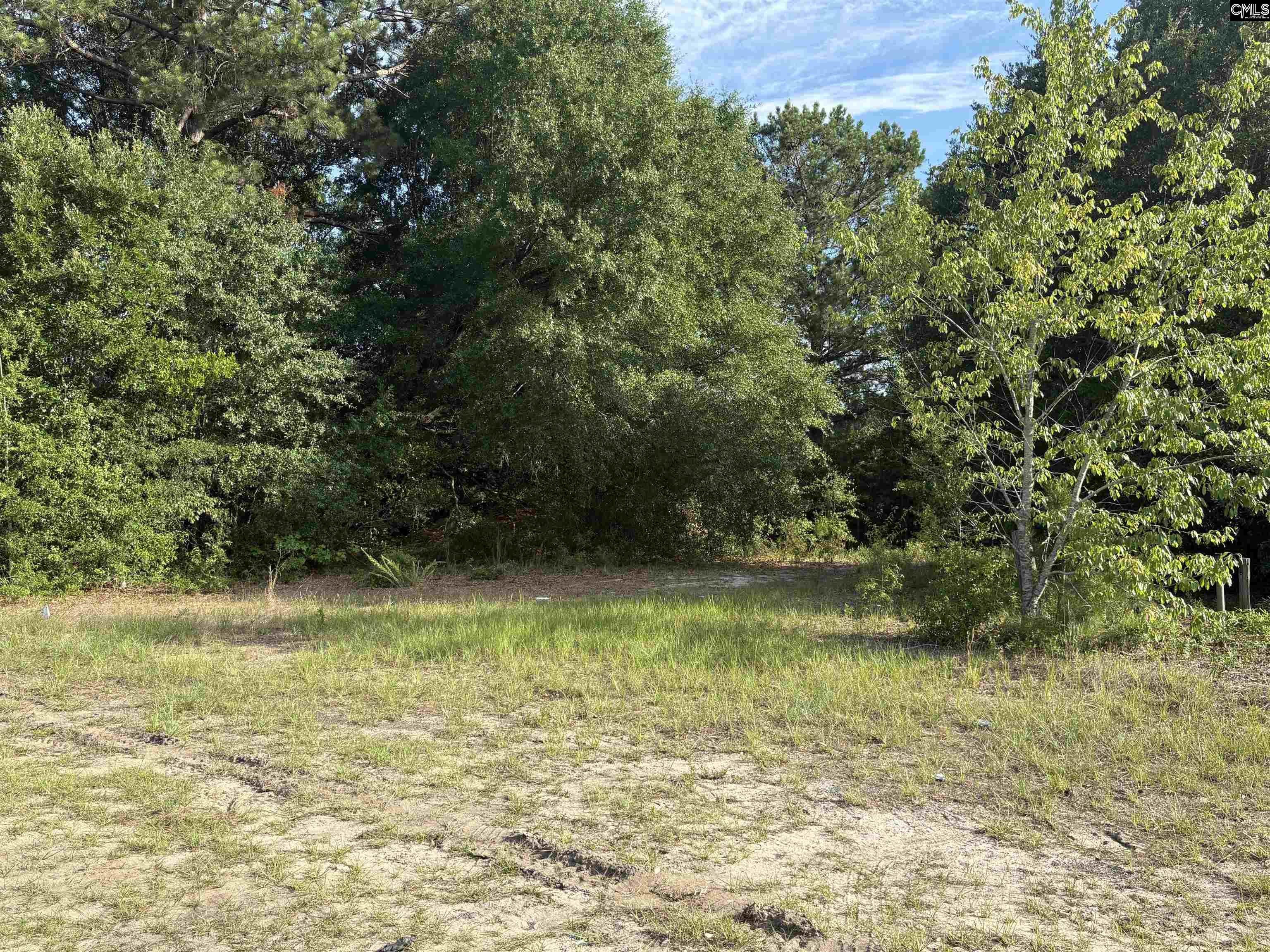 545 Flinns Road Hartsville, SC 29550 - Photo 6 of 14
