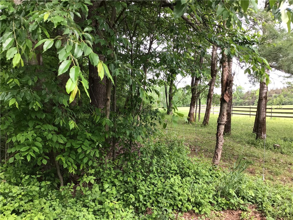 3916 Long Hill Road Venice, NY 13118 - Photo 23 of 41