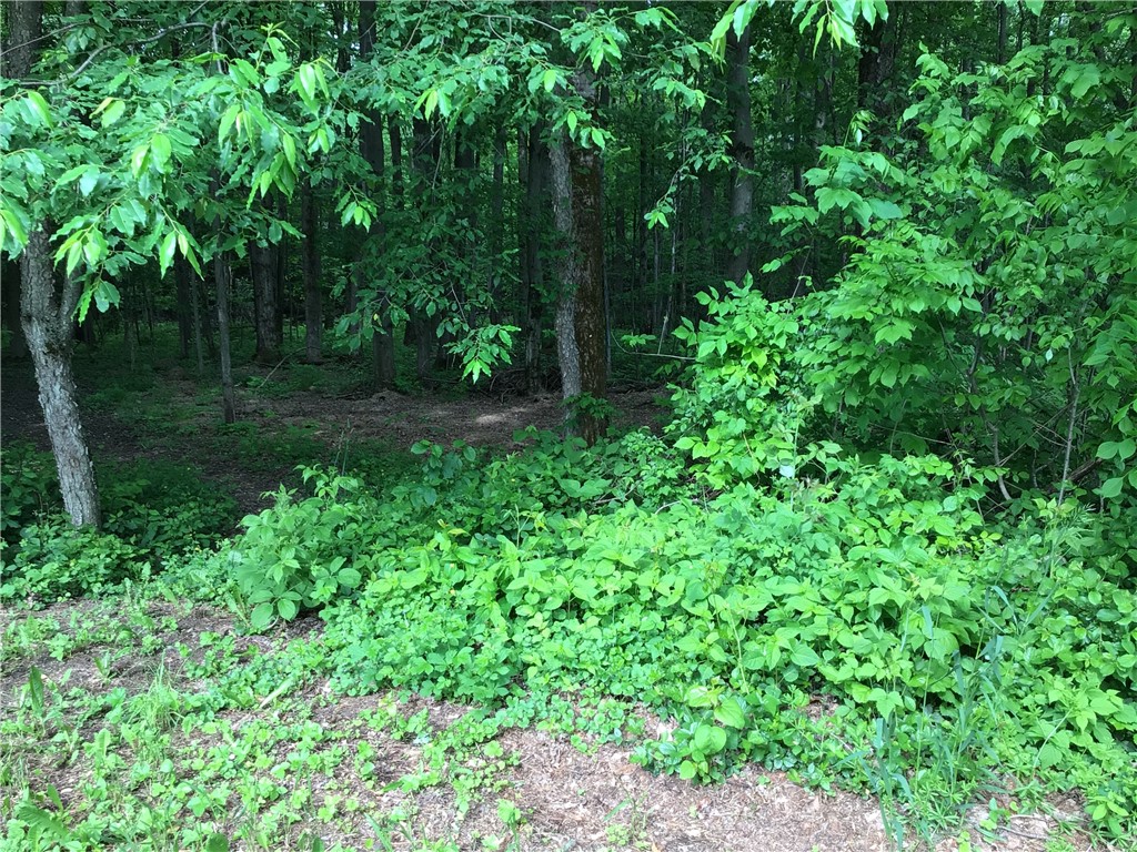 3916 Long Hill Road Venice, NY 13118 - Photo 24 of 41