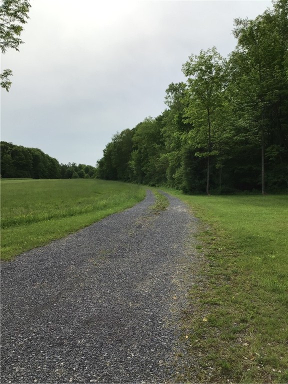 3916 Long Hill Road Venice, NY 13118 - Photo 41 of 41