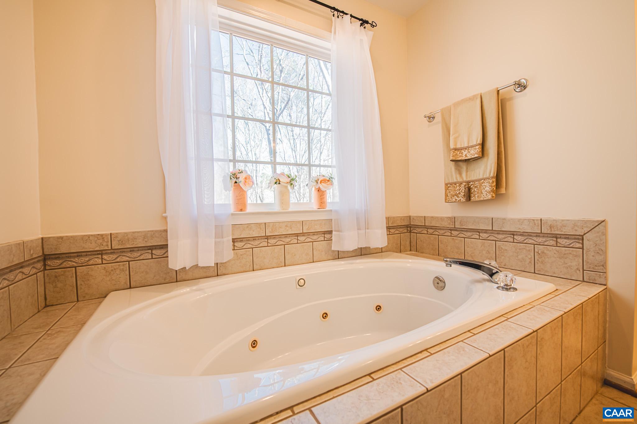 116 Riverside Drive Palmyra, VA 22963 - Photo 17 of 31 a bathroom with bathtub and window