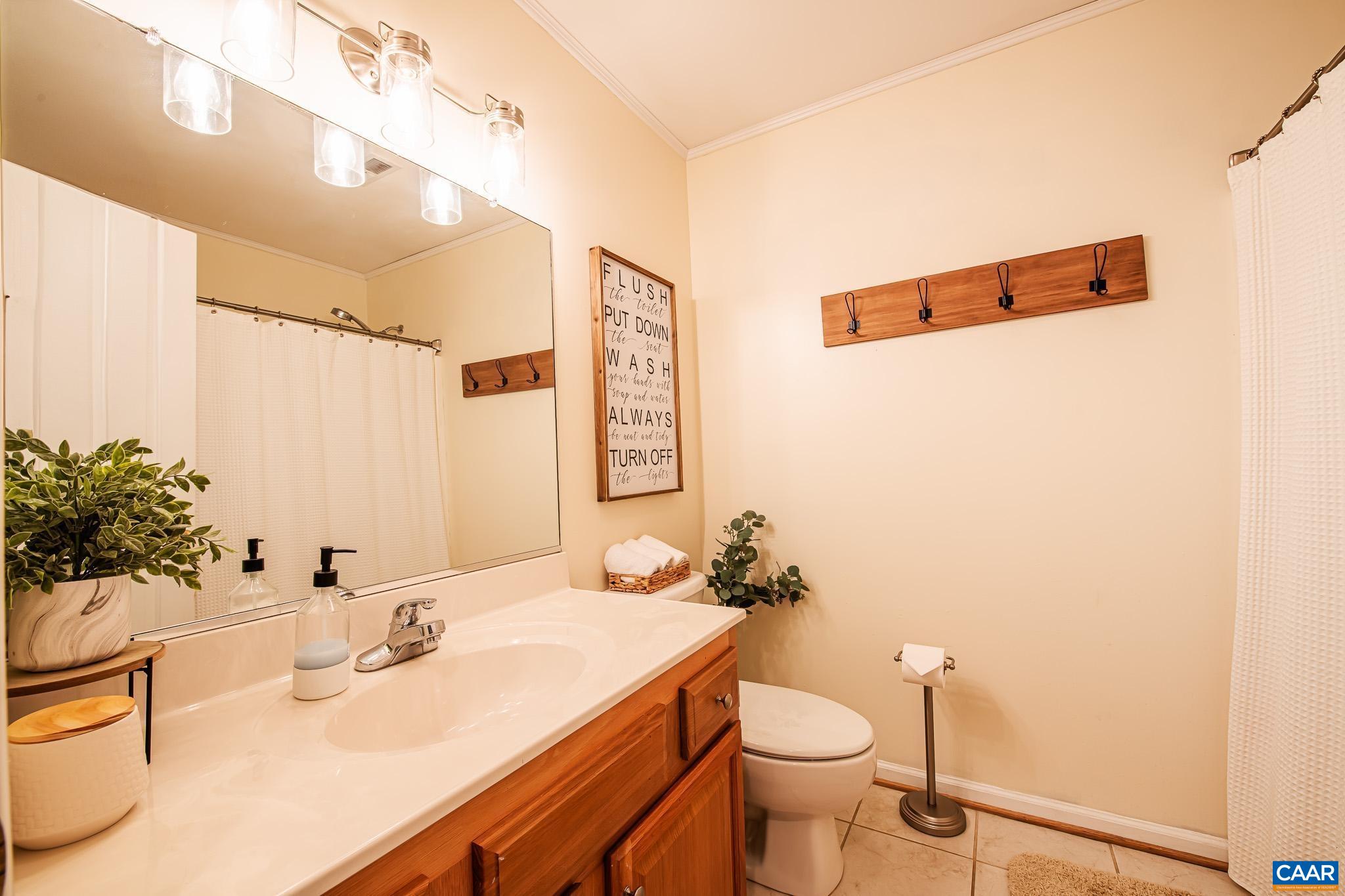 116 Riverside Drive Palmyra, VA 22963 - Photo 23 of 31 a bathroom with a sink mirror vanity and toilet