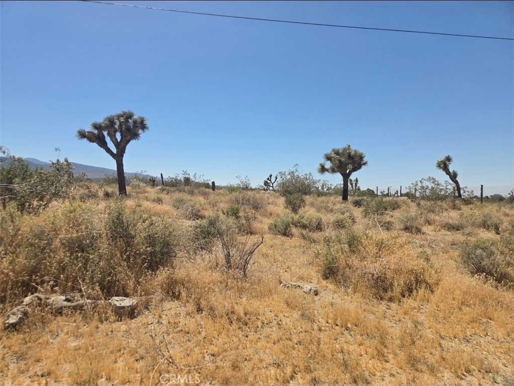 11524 Wintergreen Road Pinon Hills, CA 92372 - Photo 2 of 8