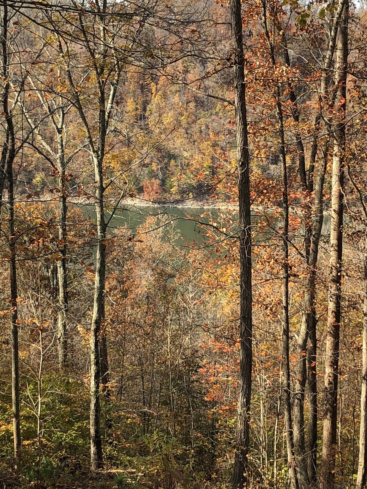 13 Bridge Pointe Road Sparta, TN 38583 - Photo 12 of 18 Gallery Image 12