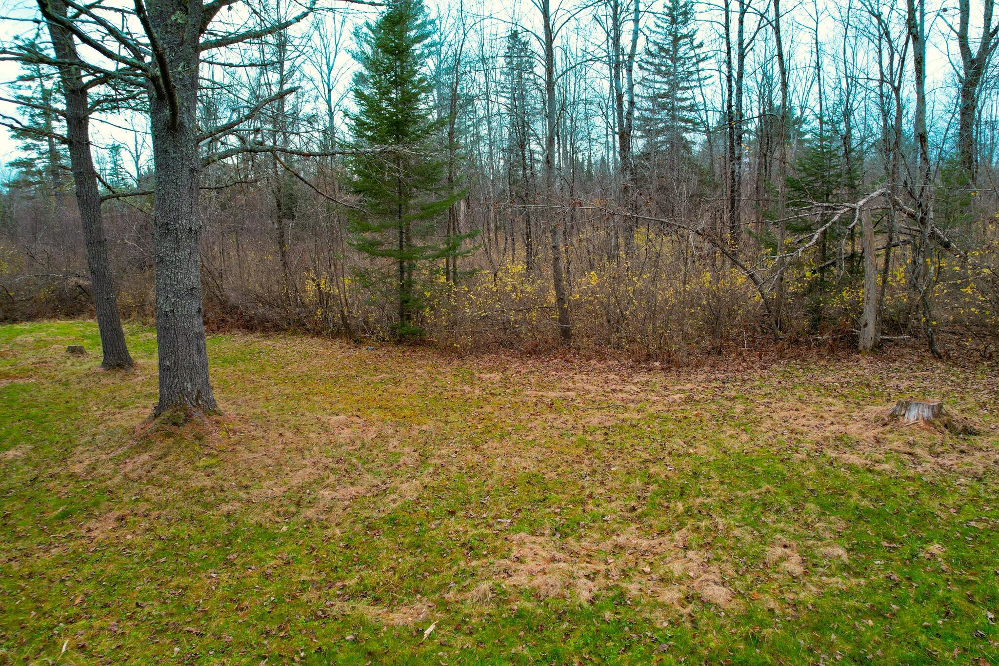 76 Bailey Bridge Road Harmony, ME 04942 - Photo 11 of 28 20230613222130740690000000-o