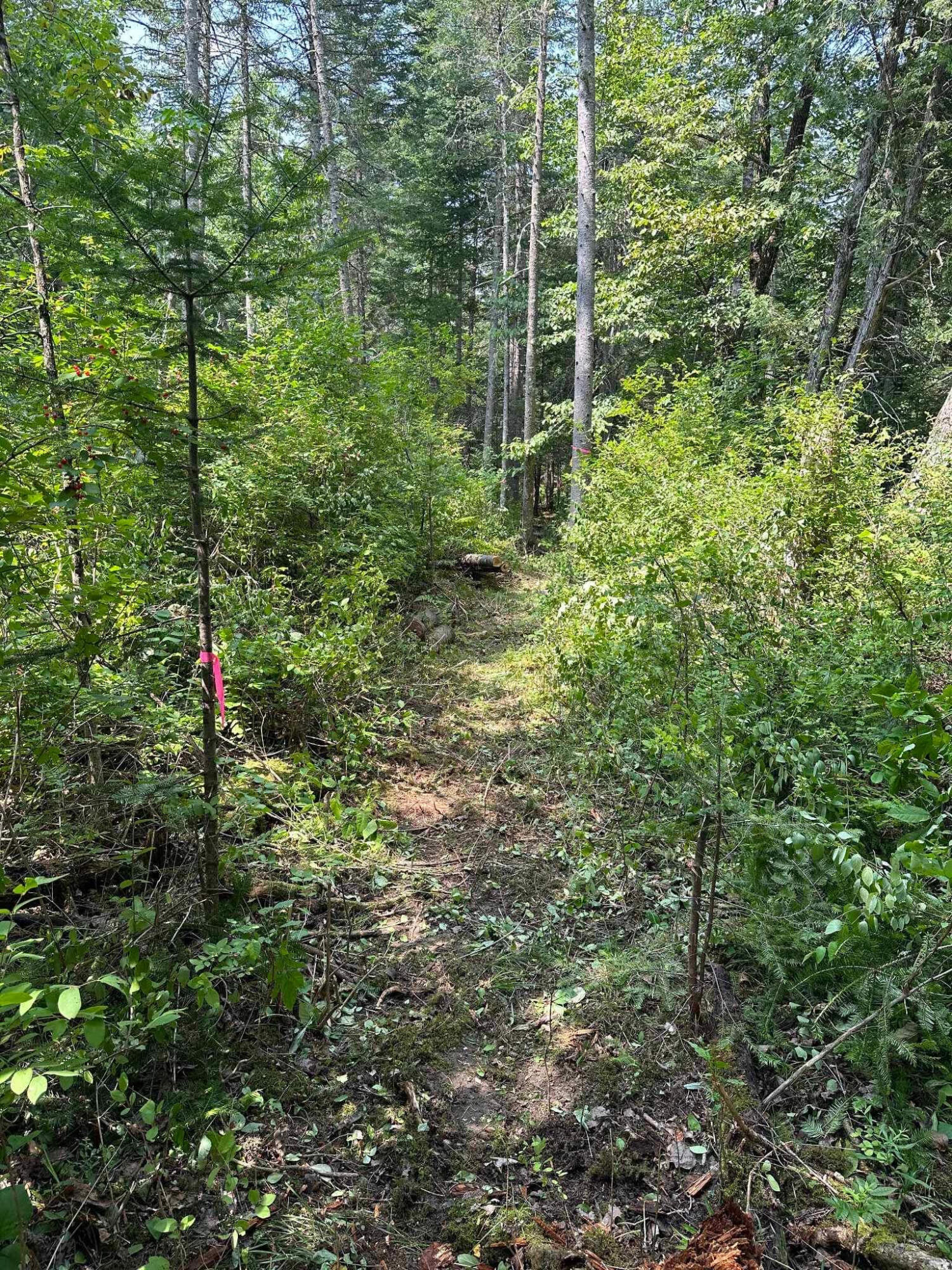 76 Bailey Bridge Road Harmony, ME 04942 - Photo 23 of 28 baileybridgepath