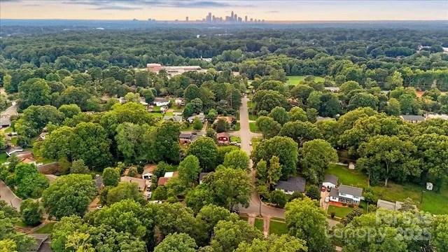 a view of a backyard with table and chairs and a large tree