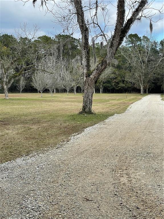 10-acres Azalea Lane Lacombe, LA 70445 - Photo 11 of 21