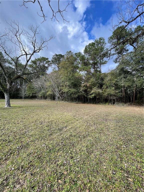 10-acres Azalea Lane Lacombe, LA 70445 - Photo 13 of 21