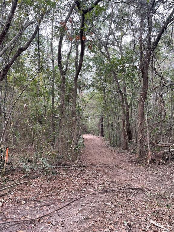 10-acres Azalea Lane Lacombe, LA 70445 - Photo 14 of 21