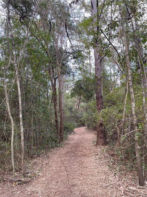10-acres Azalea Lane Lacombe, LA 70445 - Photo 16 of 21