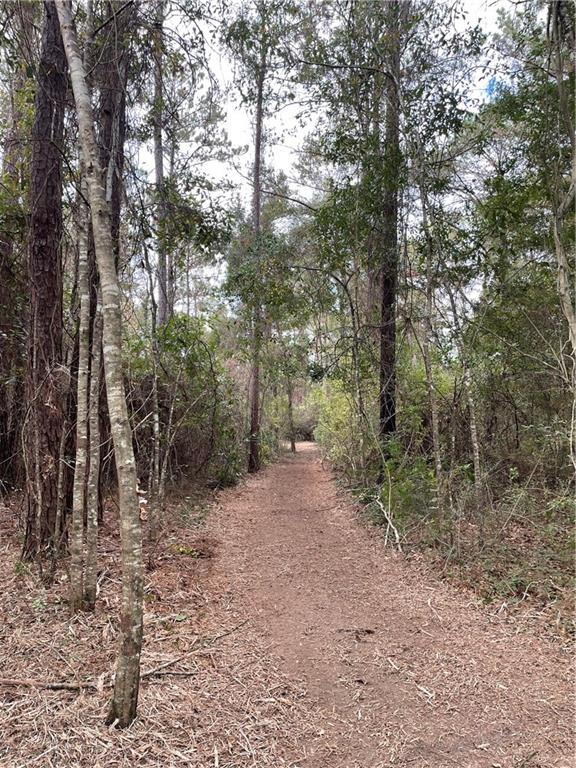 10-acres Azalea Lane Lacombe, LA 70445 - Photo 17 of 21