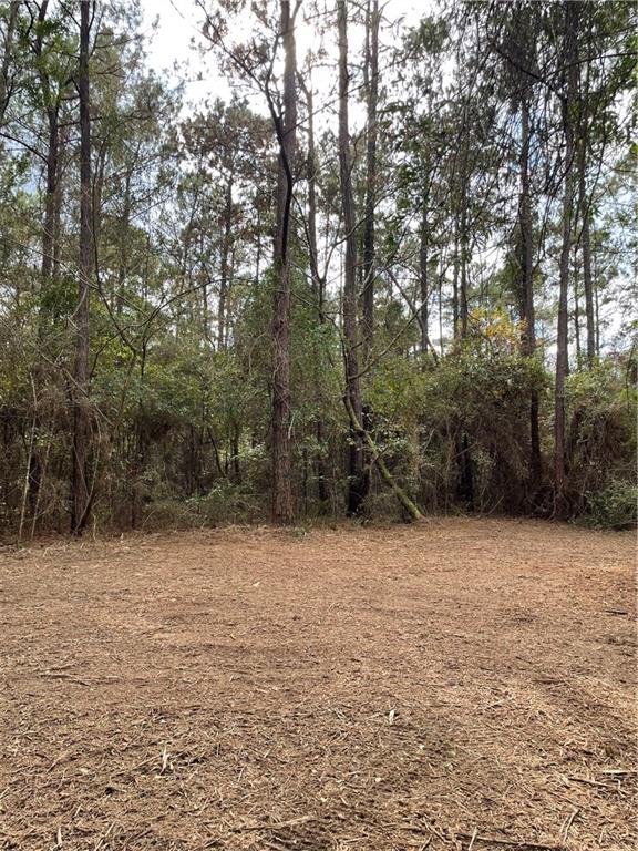 10-acres Azalea Lane Lacombe, LA 70445 - Photo 18 of 21