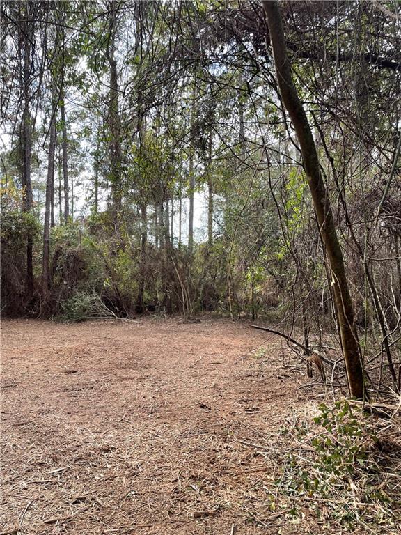 10-acres Azalea Lane Lacombe, LA 70445 - Photo 19 of 21