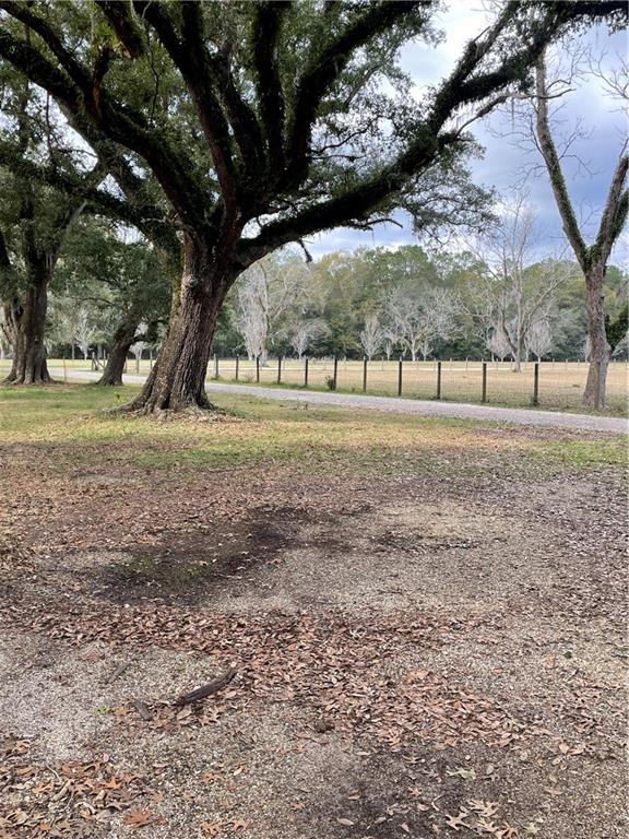 10-acres Azalea Lane Lacombe, LA 70445 - Photo 2 of 21