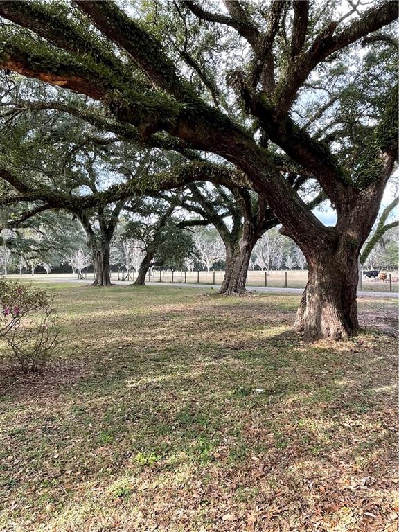 10-acres Azalea Lane Lacombe, LA 70445 - Photo 4 of 21