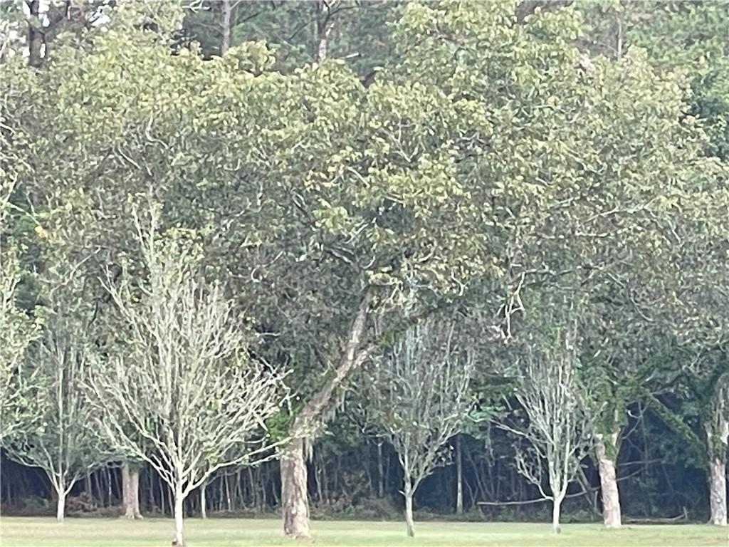 10-acres Azalea Lane Lacombe, LA 70445 - Photo 5 of 21