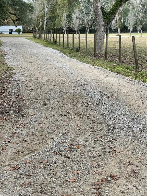 10-acres Azalea Lane Lacombe, LA 70445 - Photo 9 of 21