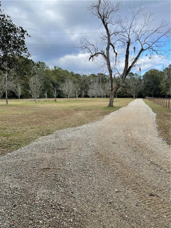 10-acres Azalea Lane Lacombe, LA 70445 - Photo 10 of 21