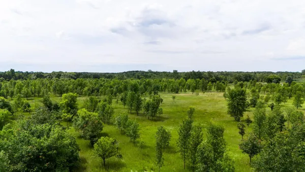 $130,000 | Lot 2 Rutten Lane Northeast, Carlos, MN 56319