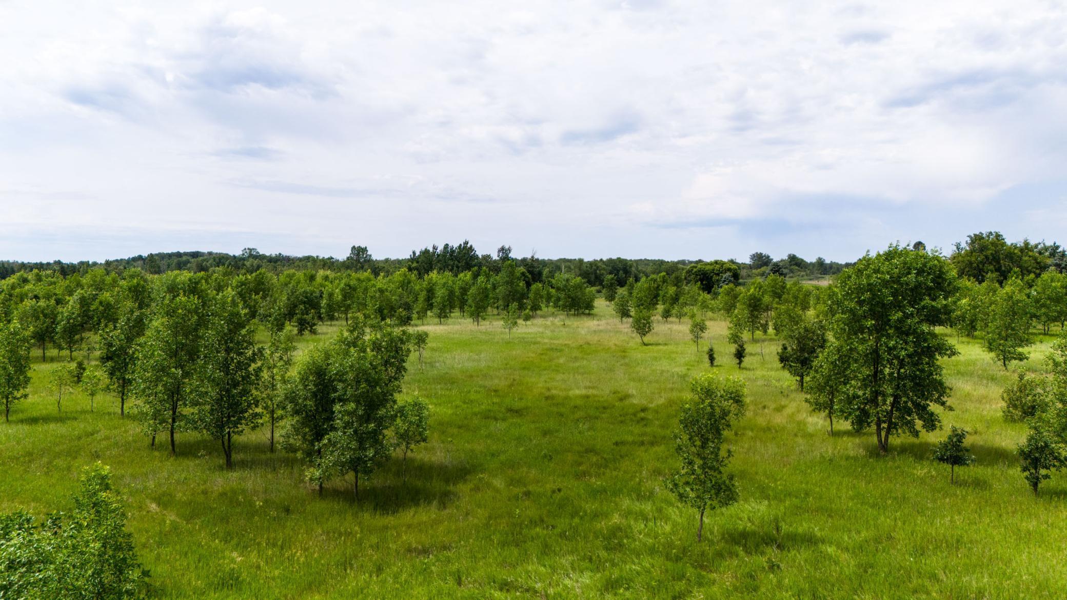 Lot 2 Rutten Lane Northeast Carlos, MN 56319 - Photo 16 of 17