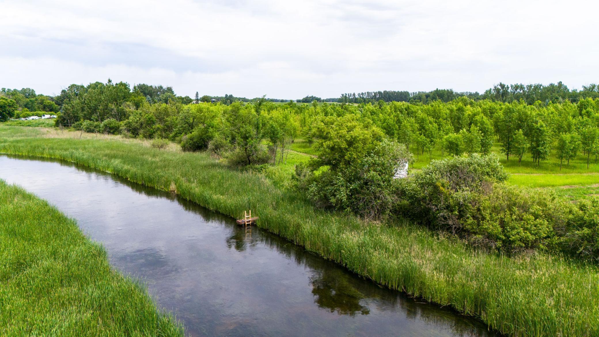 Lot 2 Rutten Lane Northeast Carlos, MN 56319 - Photo 6 of 17